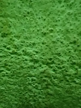 Pagelboy 089 online show from April 8, 11:59 pm