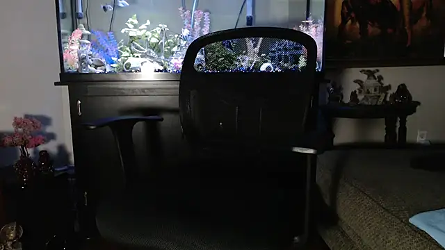 EspanolVato online show from January 14, 12:05 am