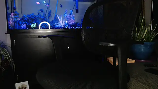 Snapshot of EspanolVato chatting on May 6, 9:36 am EspanolVato online show from May 6, 9:36 am