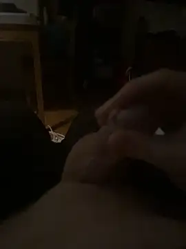 Snapshot of Herr_Snusk chatting on February 16, 12:07 am Herr Snusk online show from February 16, 12:07 am