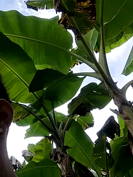 Wild and Sweets online show from January 11, 7:52 pm