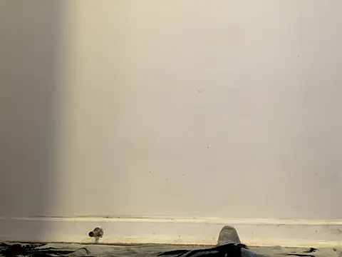 AnnoyedAnnual online show from January 15, 12:15 am