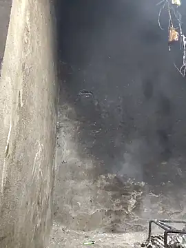 apple0011 online show from March 17, 9:34 am