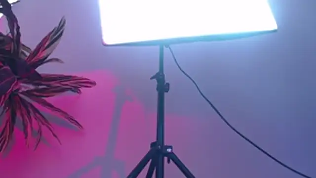 KimiNaru online show from March 3, 4:24 pm