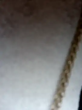 Dante Knox online show from February 8, 12:30 pm