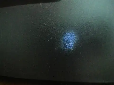 miss charlott 18 online show from February 23, 1:30 pm