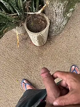 dogfrota online show from January 11, 7:30 pm