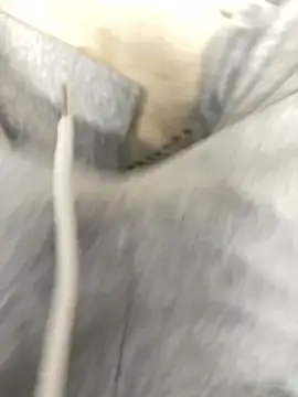 Bebun online show from January 17, 3:00 am