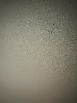 Snapshot of zumma00 chatting on January 17, 11:37 am zumma00 online show from January 17, 11:37 am