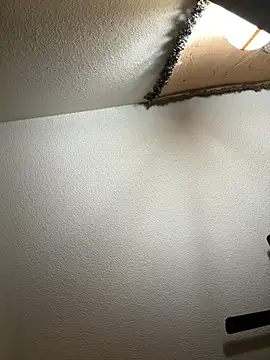 Snapshot of JoeyBlazy chatting on January 12, 1:00 am JoeyBlazy online show from January 12, 1:00 am