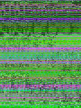 Charlotte-ee online show from March 14, 5:02 am