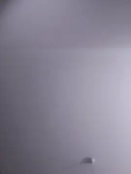 Snapshot of NickoHetero chatting on February 10, 10:03 pm NickoHetero online show from February 10, 10:03 pm