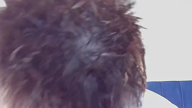 DrakeCarter online show from February 26, 1:48 am