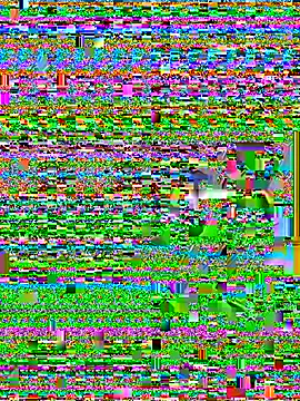 Wicy23 online show from May 29, 3:48 am