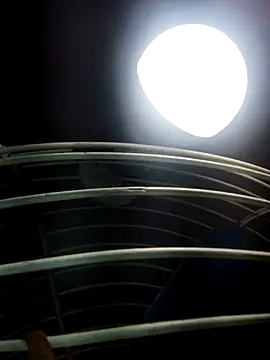 cutee Baby angel online show from February 20, 8:20 pm