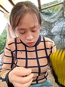 Hari-saka online show from February 24, 3:04 am