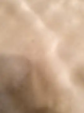 testmailx75 online show from February 23, 9:23 pm