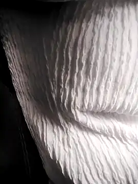 RosseLaure online show from February 25, 7:56 pm