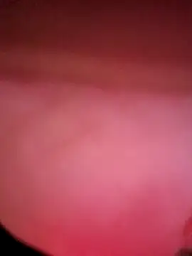 IndorsedTimid online show from April 5, 11:46 pm