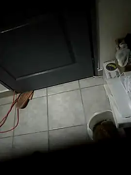 Snapshot of Punciprof chatting on April 9, 9:31 pm Punciprof online show from April 9, 9:31 pm