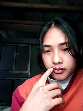 Hoa-tuylip online show from February 14, 5:26 am