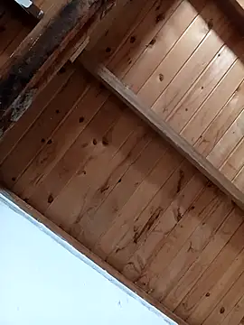 luna pinky online show from March 1, 4:42 pm