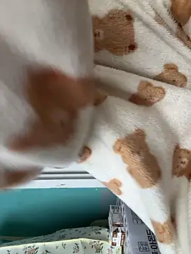 Snapshot of wjddjwjd chatting on March 12, 8:20 am wjddjwjd online show from March 12, 8:20 am