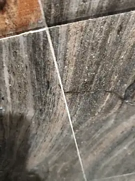 Bengal Tiger420 online show from April 17, 6:33 pm