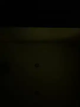 Callmedaddy9 online show from March 17, 2:38 am