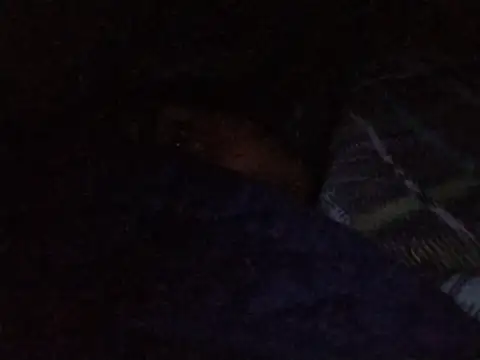 MickeySexyyy online show from July 9, 3:43 am