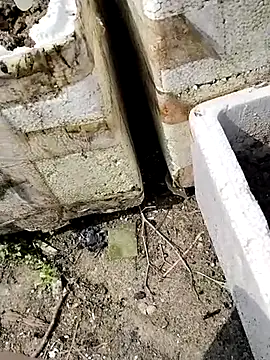 Queen-love45 online show from March 1, 3:41 am