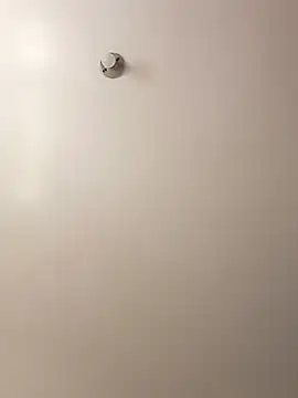 Cati cat3 online show from February 7, 4:43 pm