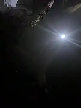 makemestayhard online show from March 6, 4:53 am