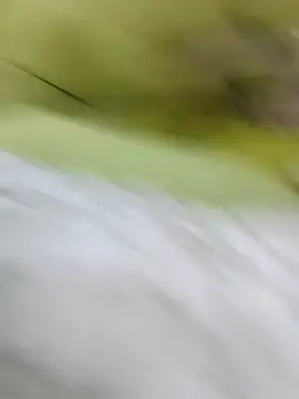 Snapshot of ONixCris chatting on February 20, 5:24 pm ONixCris online show from February 20, 5:24 pm