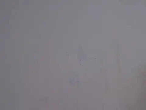 placerverdadero online show from February 15, 5:48 am