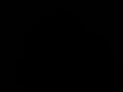 paula ross  online show from February 9, 11:42 pm