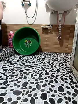 Tulip ii online show from February 14, 5:59 am