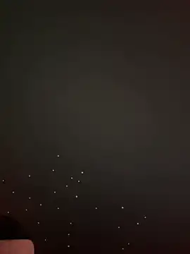 Just-Lilly online show from February 11, 12:54 pm