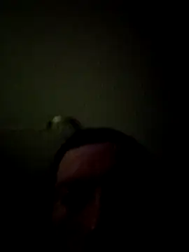 bigbooietx online show from March 1, 8:05 am