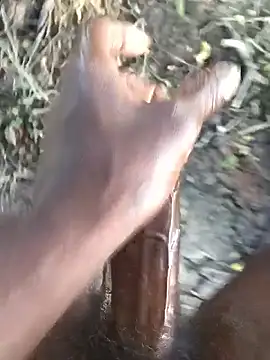 kalai 32 online show from February 13, 2:51 am