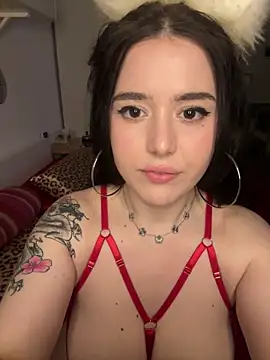 Venustrapp online show from February 14, 2:47 pm