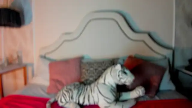 niicole garner online show from February 11, 4:34 pm