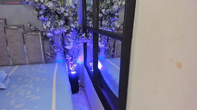 Nalapalmer online show from February 7, 7:39 pm