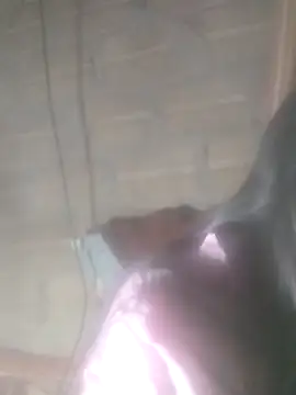 Yang-my- online show from February 13, 3:08 pm