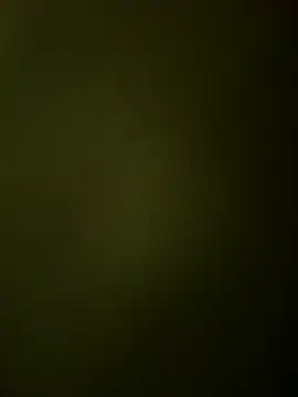 Ranjet01 online show from March 5, 1:07 pm