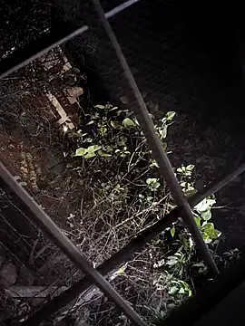 Snapshot of Premcouple88 chatting on April 14, 6:03 pm Premcouple88 online show from April 14, 6:03 pm