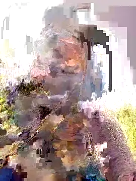 Pallavi hote online show from February 22, 6:02 am