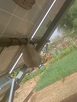 mastmalai online show from March 17, 4:39 am