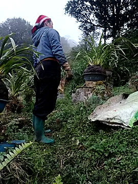 nelina 12345 online show from February 13, 10:44 am