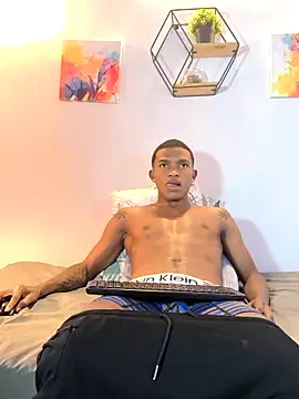 hanssmitt online show from March 12, 7:20 pm